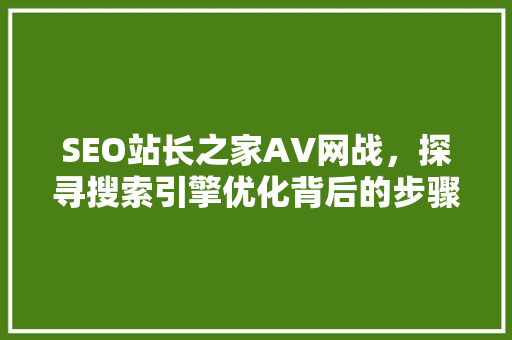 SEO站长之家AV网战，探寻搜索引擎优化背后的步骤与方法
