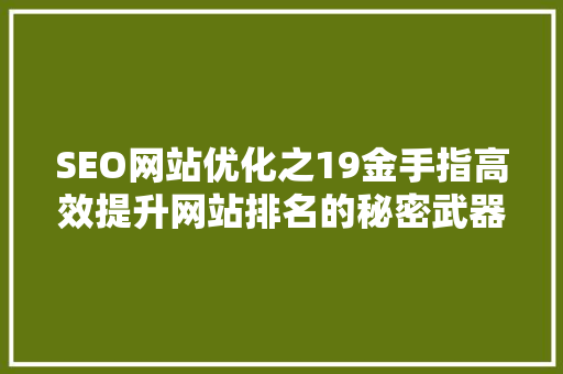 SEO网站优化之19金手指高效提升网站排名的秘密武器