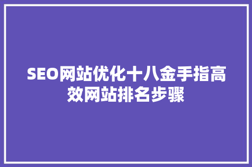 SEO网站优化十八金手指高效网站排名步骤