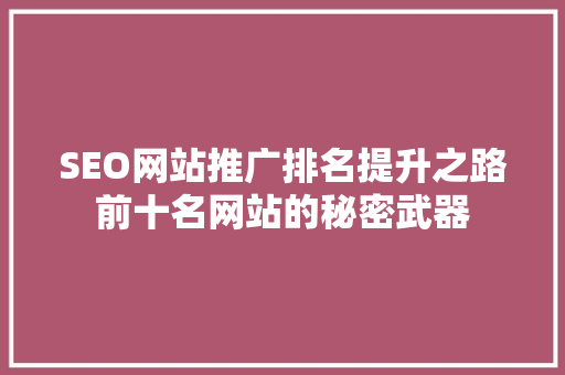 SEO网站推广排名提升之路前十名网站的秘密武器
