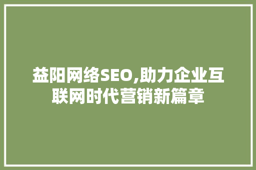 益阳网络SEO,助力企业互联网时代营销新篇章