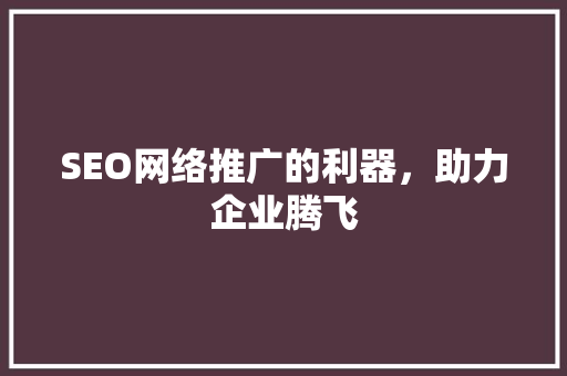 SEO网络推广的利器，助力企业腾飞
