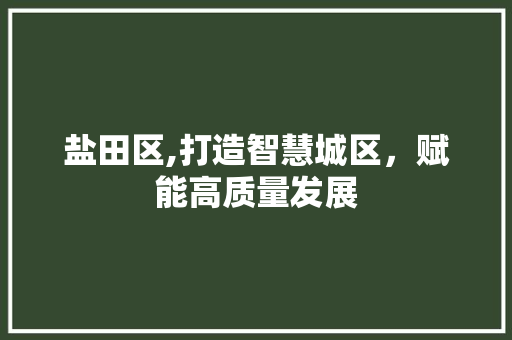 盐田区,打造智慧城区，赋能高质量发展