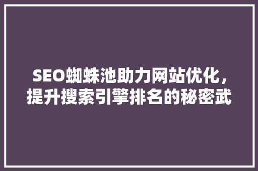 SEO蜘蛛池助力网站优化，提升搜索引擎排名的秘密武器