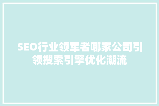 SEO行业领军者哪家公司引领搜索引擎优化潮流