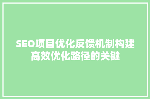 SEO项目优化反馈机制构建高效优化路径的关键