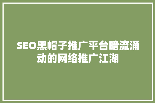 SEO黑帽子推广平台暗流涌动的网络推广江湖