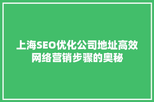 上海SEO优化公司地址高效网络营销步骤的奥秘