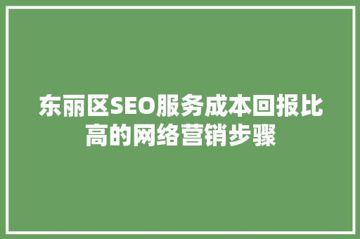 东丽区SEO服务成本回报比高的网络营销步骤