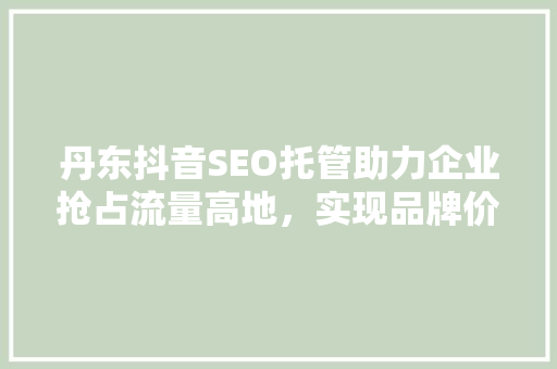 丹东抖音SEO托管助力企业抢占流量高地，实现品牌价值最大化