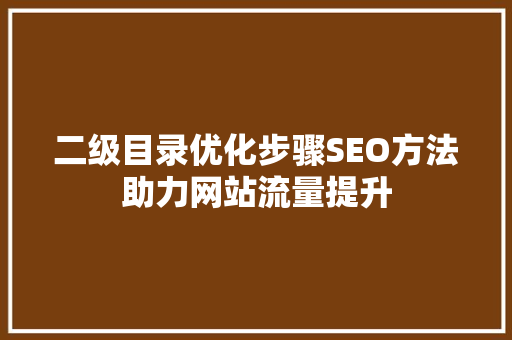 二级目录优化步骤SEO方法助力网站流量提升