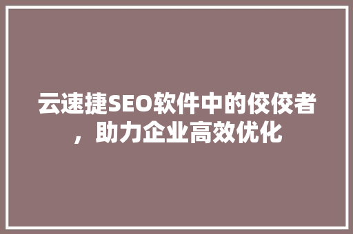 云速捷SEO软件中的佼佼者，助力企业高效优化