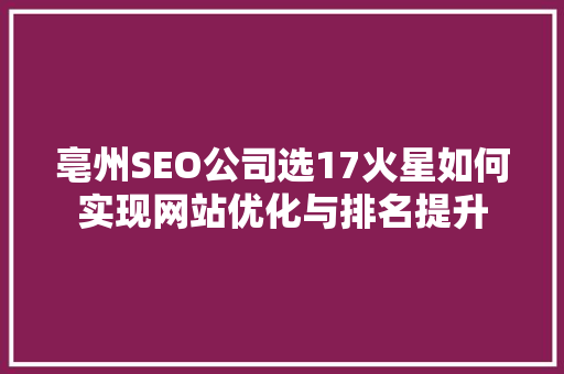 亳州SEO公司选17火星如何实现网站优化与排名提升
