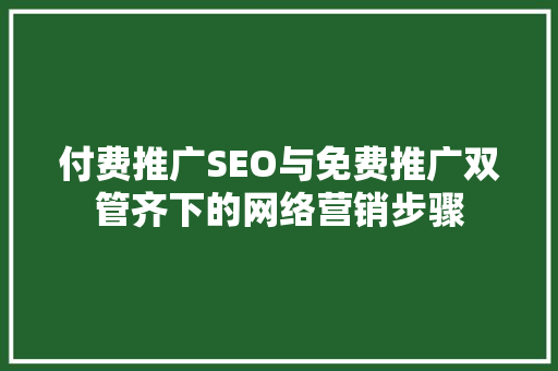 付费推广SEO与免费推广双管齐下的网络营销步骤