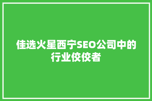 佳选火星西宁SEO公司中的行业佼佼者