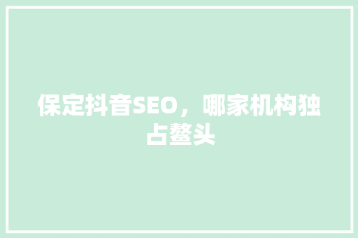 保定抖音SEO，哪家机构独占鳌头