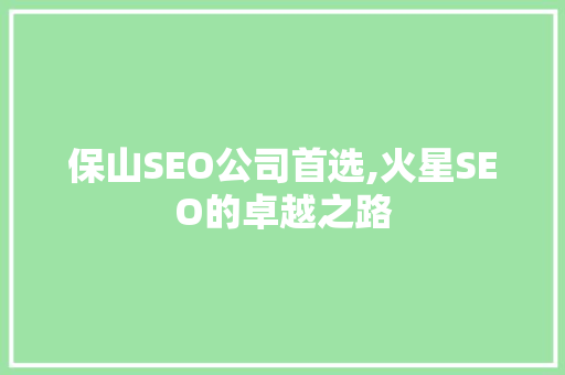 保山SEO公司首选,火星SEO的卓越之路