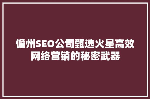 儋州SEO公司甄选火星高效网络营销的秘密武器