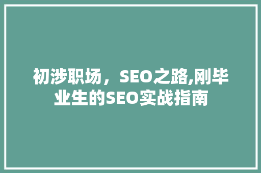 初涉职场，SEO之路,刚毕业生的SEO实战指南