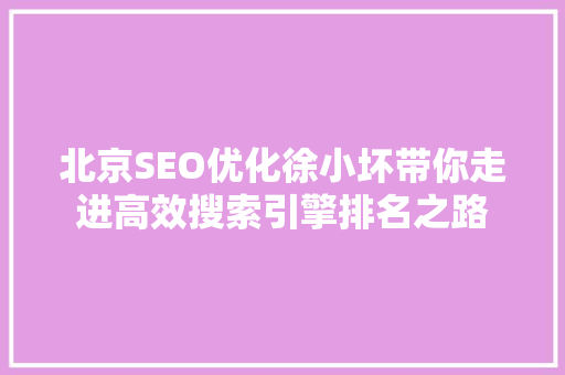 北京SEO优化徐小坏带你走进高效搜索引擎排名之路