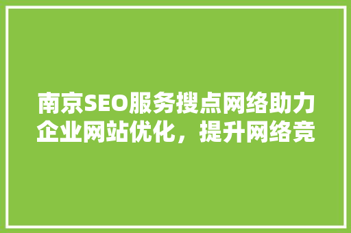 南京SEO服务搜点网络助力企业网站优化，提升网络竞争力