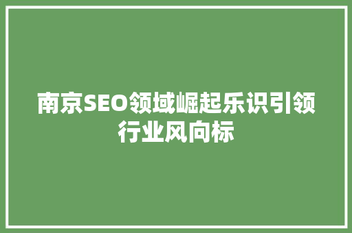 南京SEO领域崛起乐识引领行业风向标