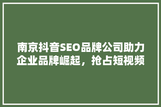 南京抖音SEO品牌公司助力企业品牌崛起，抢占短视频营销制高点