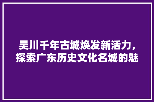 吴川千年古城焕发新活力，探索广东历史文化名城的魅力