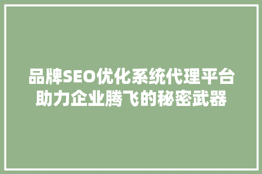品牌SEO优化系统代理平台助力企业腾飞的秘密武器