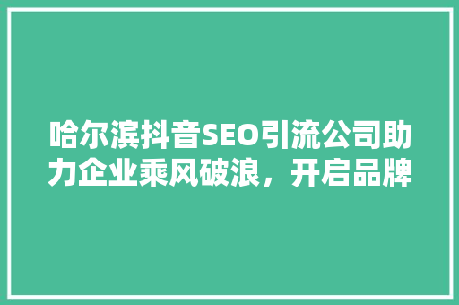 哈尔滨抖音SEO引流公司助力企业乘风破浪，开启品牌新篇章