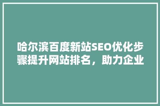 哈尔滨百度新站SEO优化步骤提升网站排名，助力企业腾飞