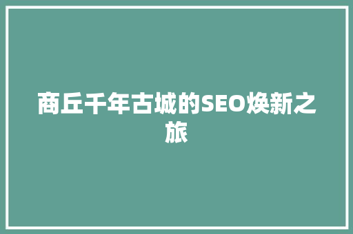 商丘千年古城的SEO焕新之旅 Web前端