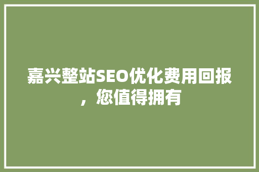 嘉兴整站SEO优化费用回报，您值得拥有