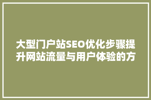 大型门户站SEO优化步骤提升网站流量与用户体验的方法