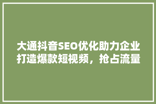 大通抖音SEO优化助力企业打造爆款短视频，抢占流量高地