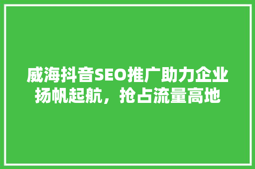 威海抖音SEO推广助力企业扬帆起航，抢占流量高地