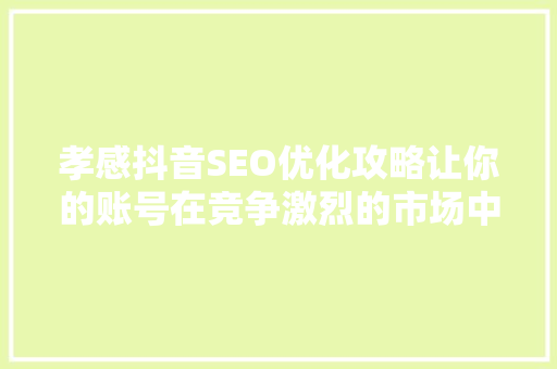 孝感抖音SEO优化攻略让你的账号在竞争激烈的市场中脱颖而出