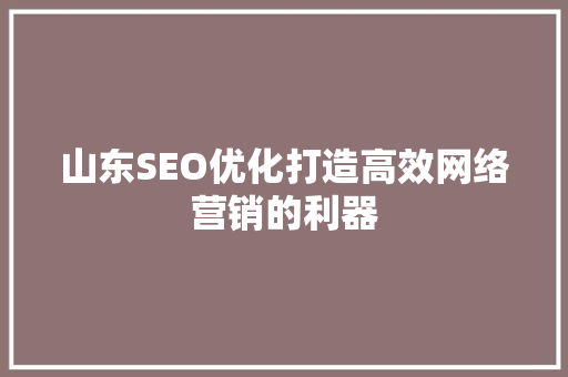 山东SEO优化打造高效网络营销的利器