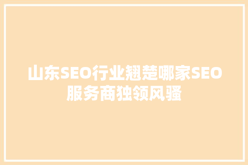 山东SEO行业翘楚哪家SEO服务商独领风骚