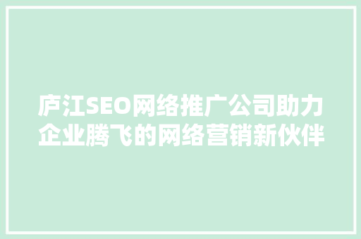 庐江SEO网络推广公司助力企业腾飞的网络营销新伙伴