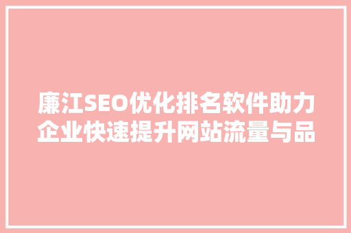 廉江SEO优化排名软件助力企业快速提升网站流量与品牌知名度