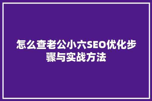 怎么查老公小六SEO优化步骤与实战方法