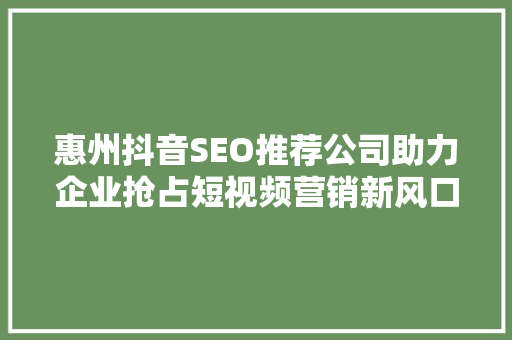 惠州抖音SEO推荐公司助力企业抢占短视频营销新风口