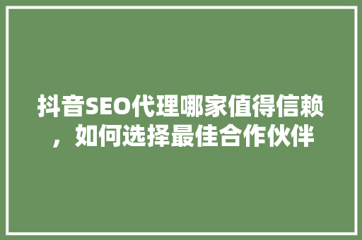 抖音SEO代理哪家值得信赖，如何选择最佳合作伙伴