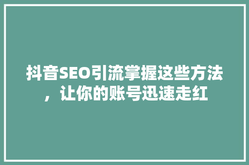 抖音SEO引流掌握这些方法，让你的账号迅速走红