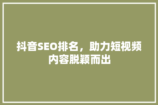 抖音SEO排名，助力短视频内容脱颖而出 Web前端