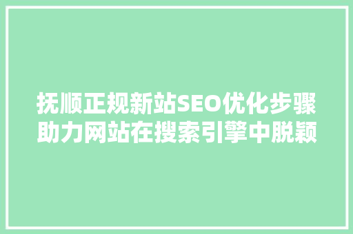 抚顺正规新站SEO优化步骤助力网站在搜索引擎中脱颖而出