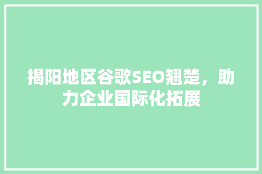 揭阳地区谷歌SEO翘楚，助力企业国际化拓展
