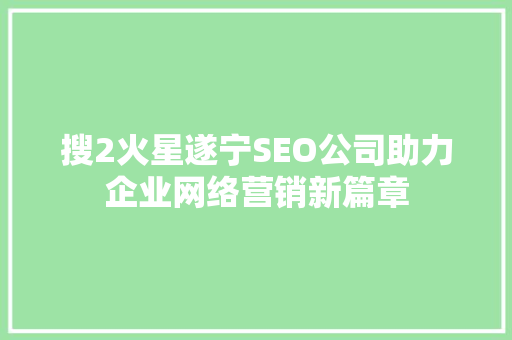 搜2火星遂宁SEO公司助力企业网络营销新篇章
