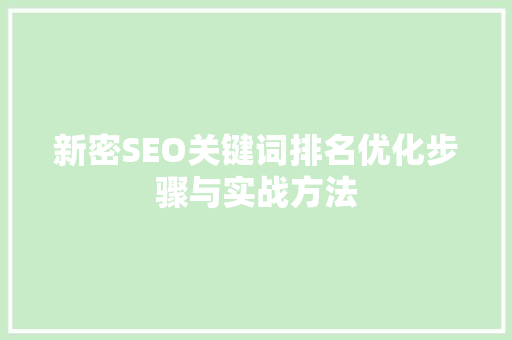 新密SEO关键词排名优化步骤与实战方法